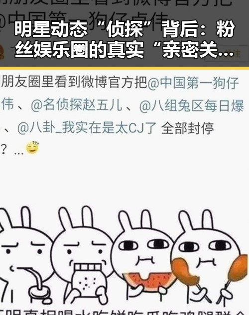 明星动态“侦探”背后:粉丝娱乐圈的真实“亲密关系”