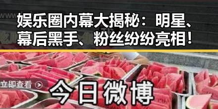 娱乐圈内幕大揭秘：明星、幕后黑手、粉丝纷纷亮相！