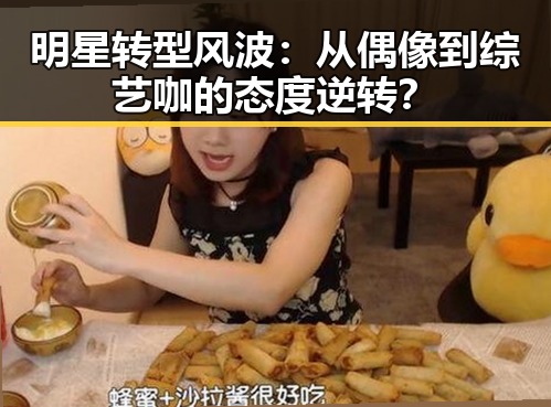 明星转型风波：从偶像到综艺咖的态度逆转？