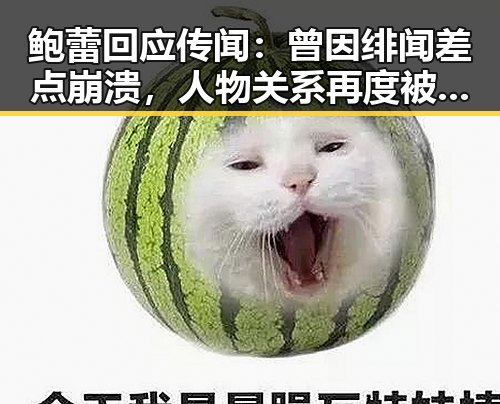 鲍蕾回应传闻:曾因绯闻差点崩溃,人物关系再度被关注