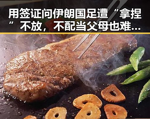 用签证问伊朗国足遭“拿捏”不放,不配当父母也难逃依法开除的困境