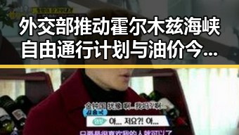 外交部推动霍尔木兹海峡自由通行计划与油价今晚24时下调引发关注