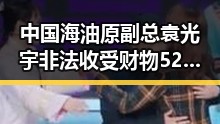 中国海油原副总袁光宇非法收受财物52亿余元端午出游被AI忽悠花掉1000块