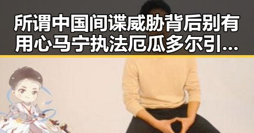 所谓中国间谍威胁背后别有用心 马宁执法厄瓜多尔引发热议